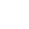 Logo EVO