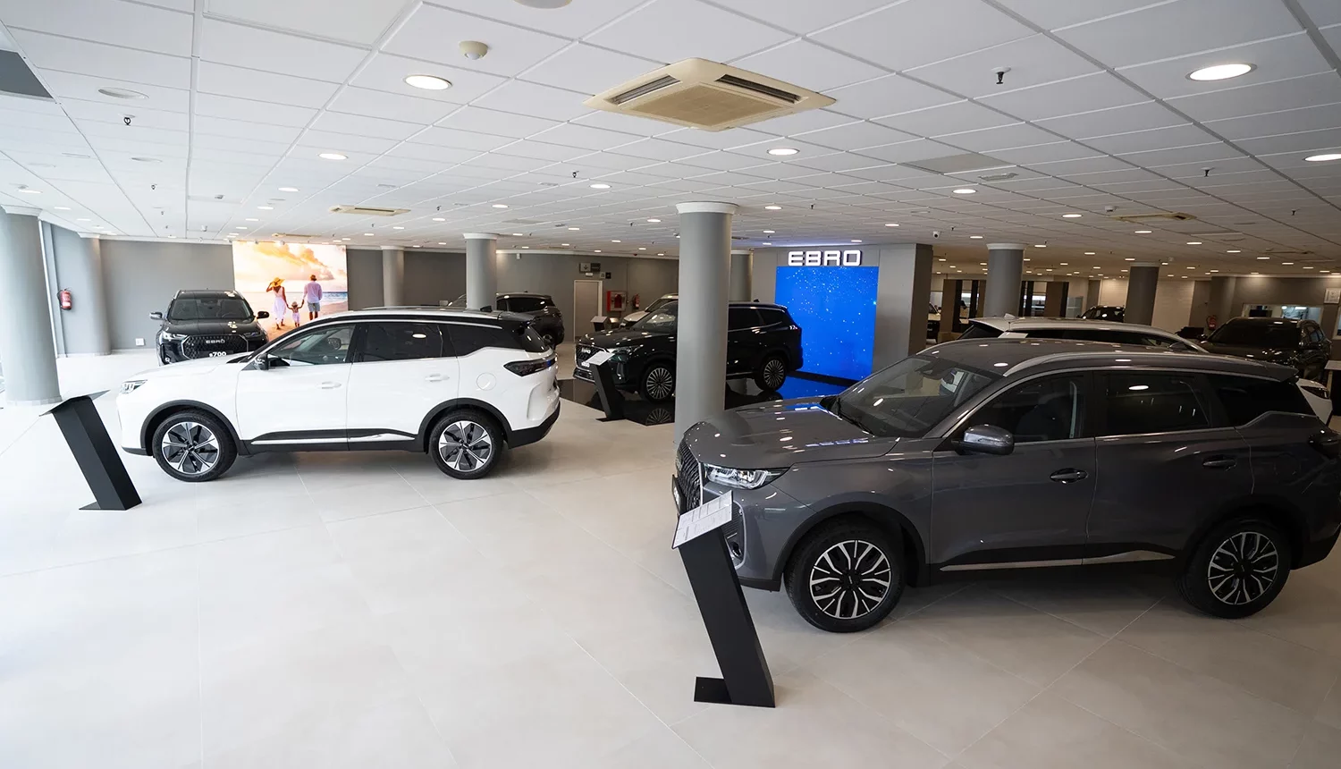 Interior de las instalaciones de EBRO Canarias con vehículos en exposición